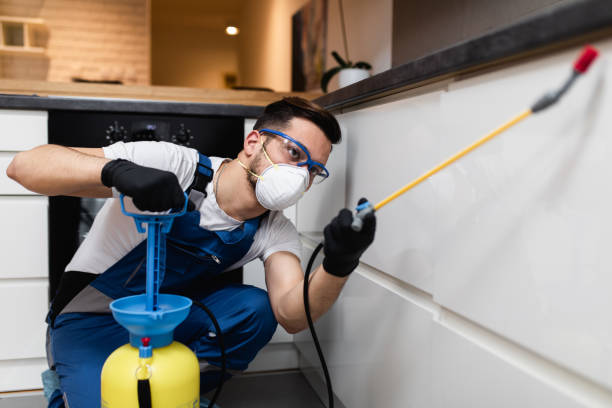 Best Pest Inspection Near Me  in Robinhood, MS