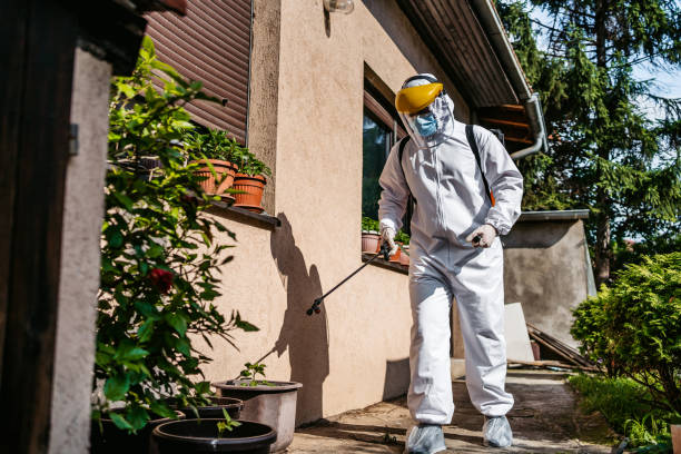 Best Bed Bug Extermination  in Robinhood, MS