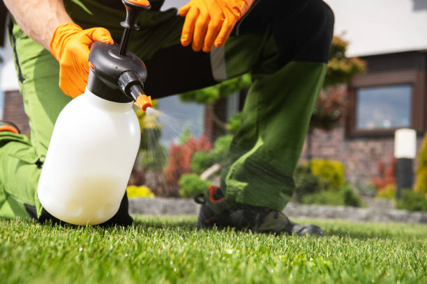 Pest Control for Restaurants in Robinhood, MS