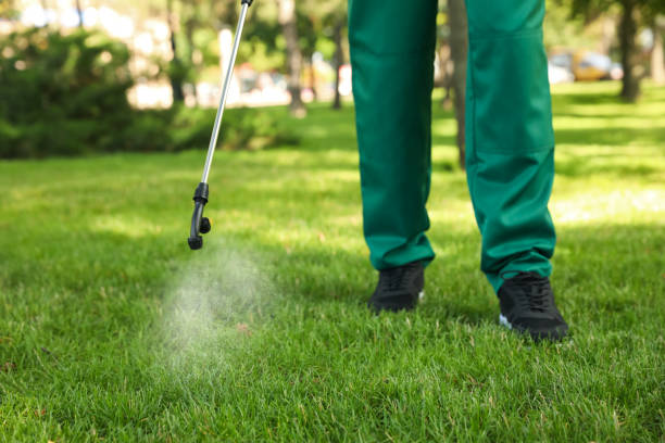 Best Mosquito Control Services  in Robinhood, MS