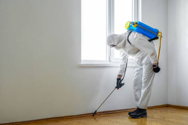 Professional Pest Control in Robinhood, MS