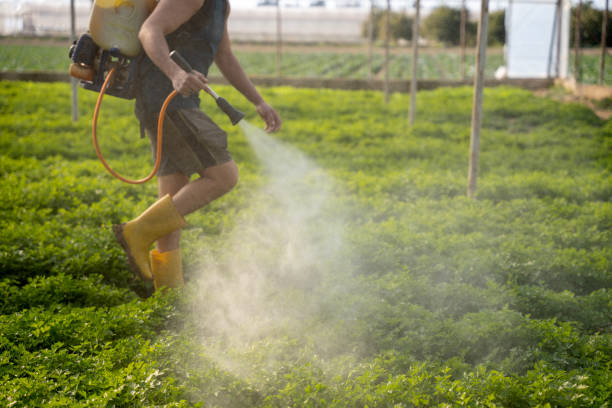 Best Pest Control Cost  in Robinhood, MS